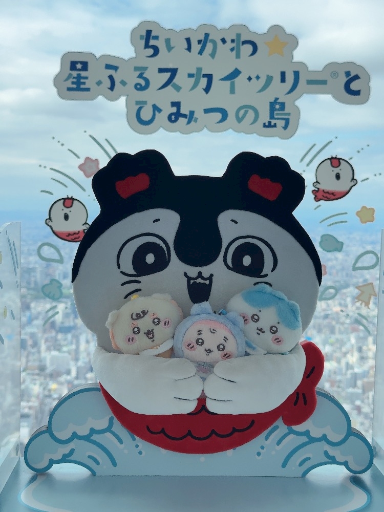 船橋 VELLUGUE 朝日記1770488