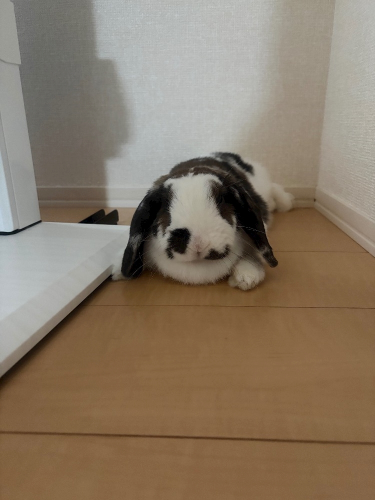 クラブグリム・小牧店日記1629984