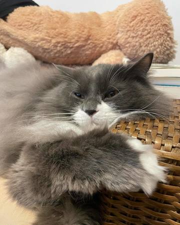 昨日全然痛くないからって･･･