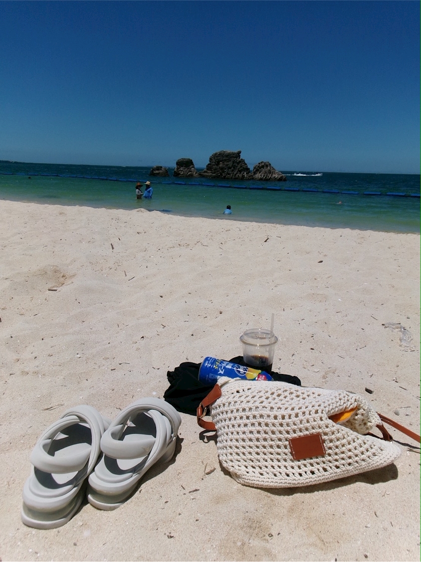 一条 葵