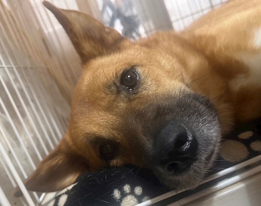 CONTINENTAL CLUB日記1524061