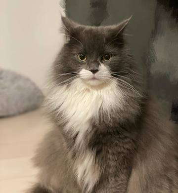 . . . 今日は小次郎･･･