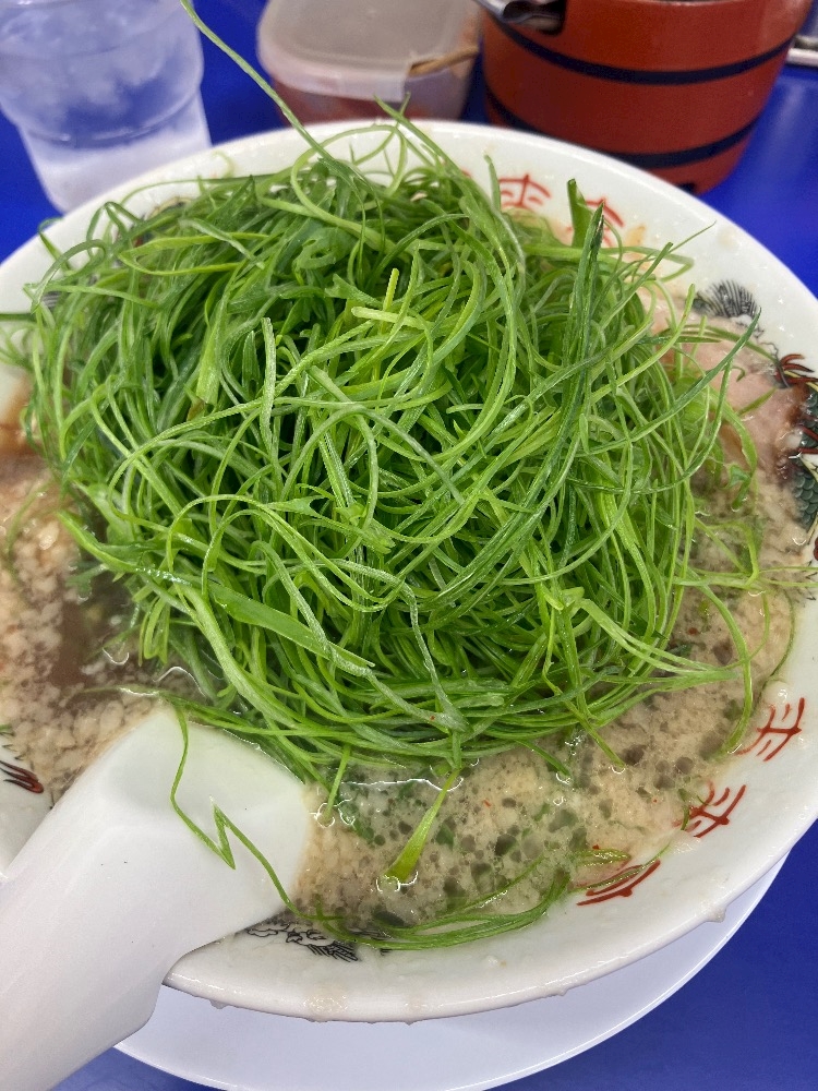 一条 葵