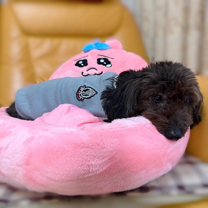 dolesline日記1512725