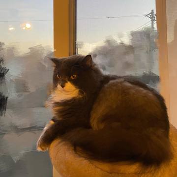 . . たまにはうちの可･･･