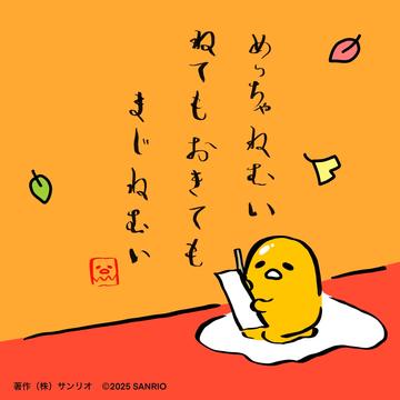 一条 葵