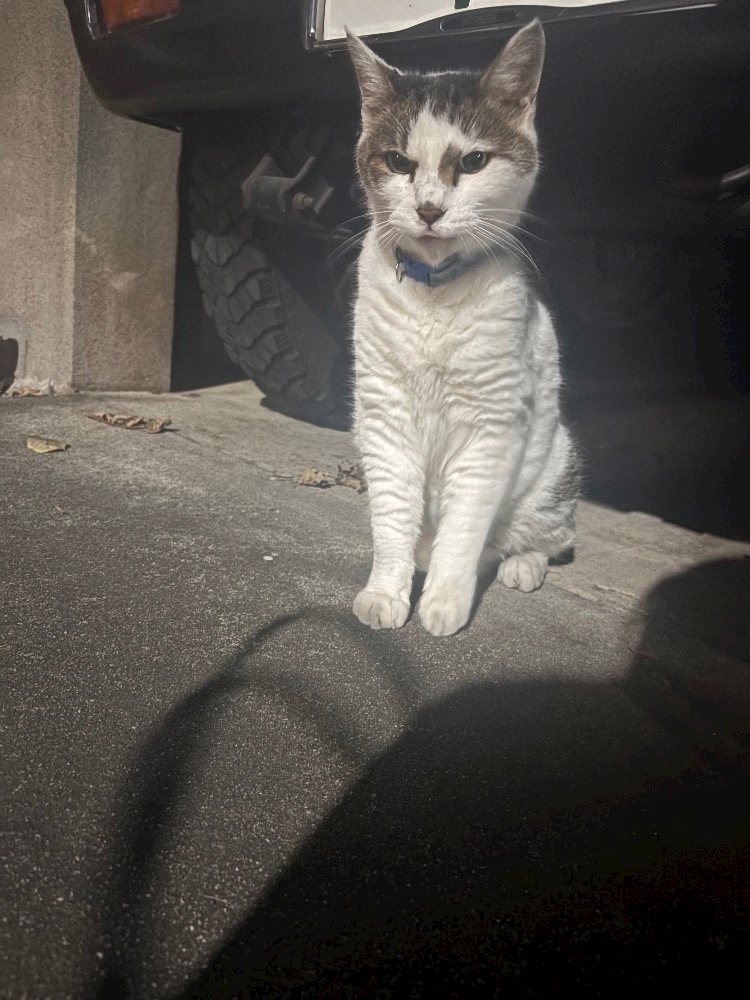 ゆうな