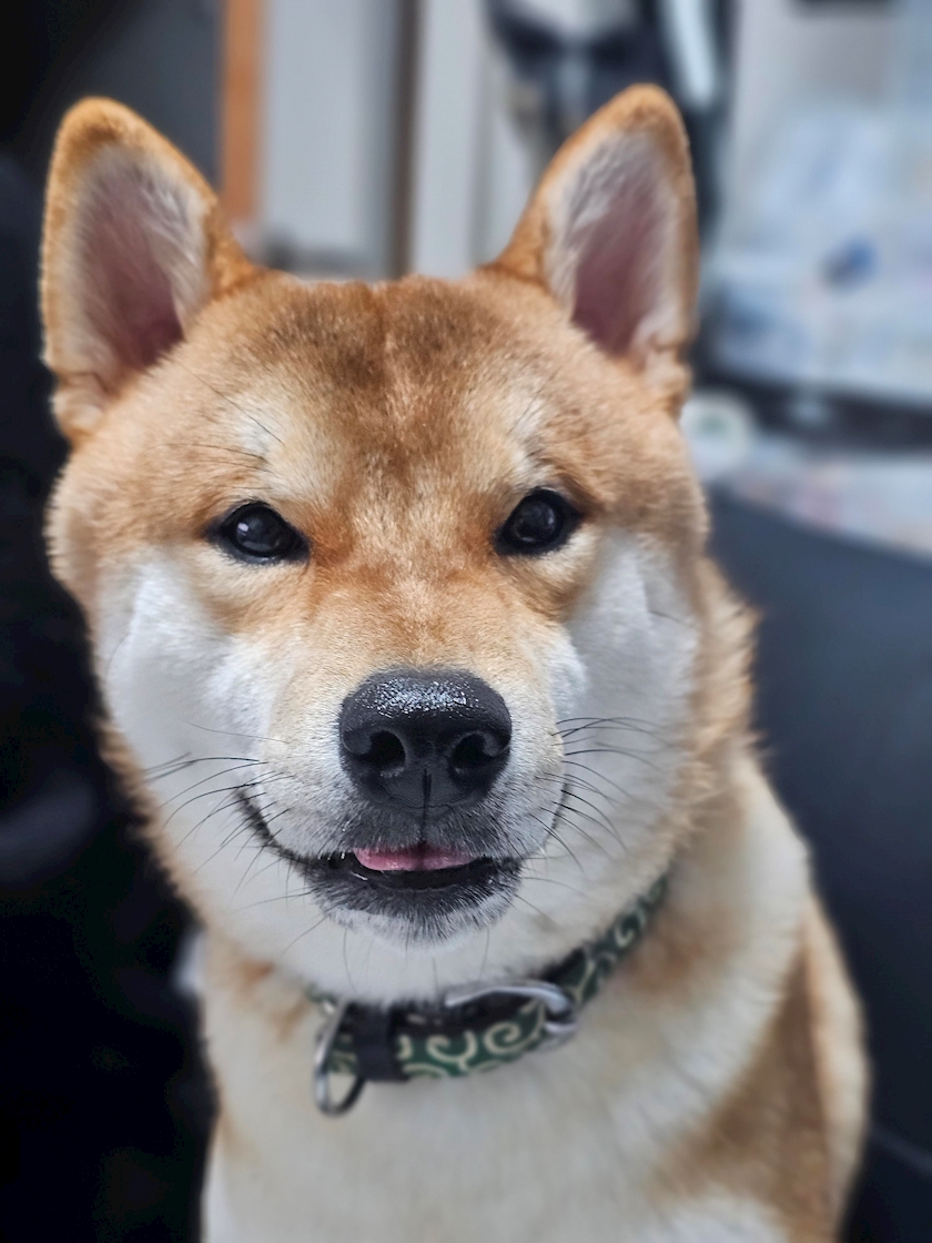 CLUB ONE CHAN 梅田堂山店日記1534310