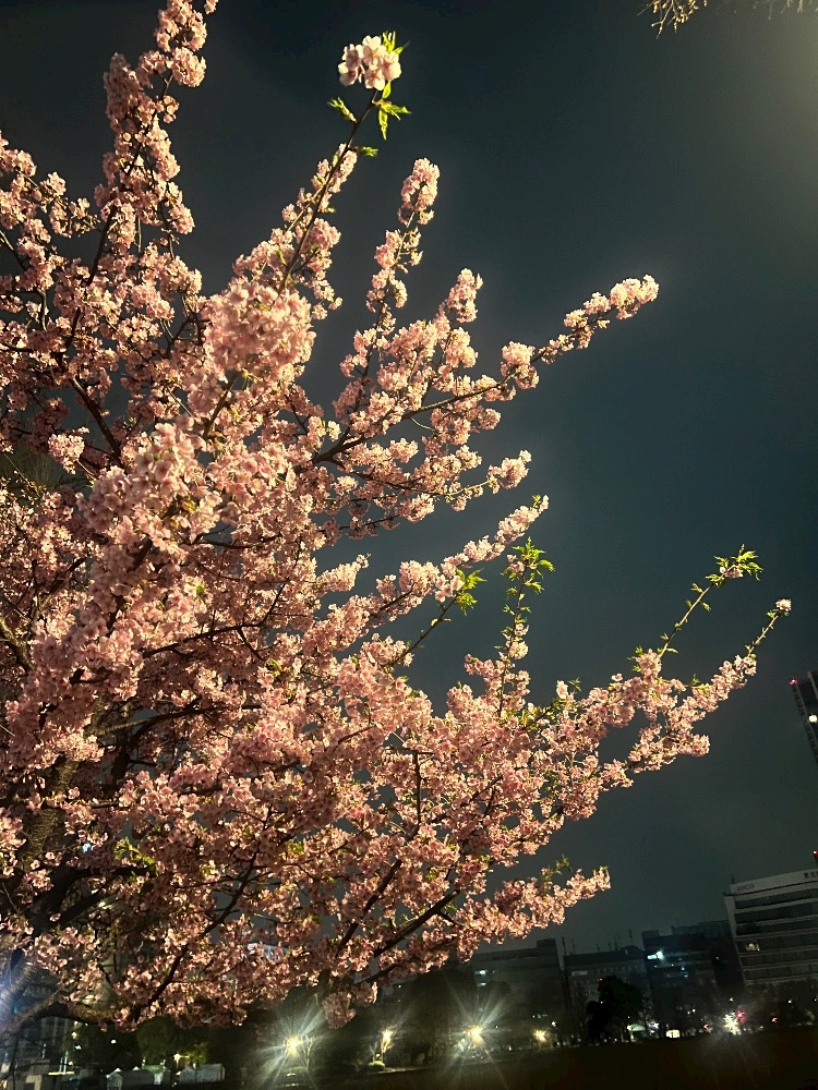 La vie et 神田日記1612803