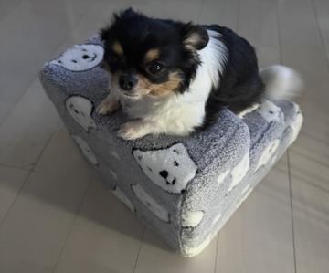 Premier日記1513889