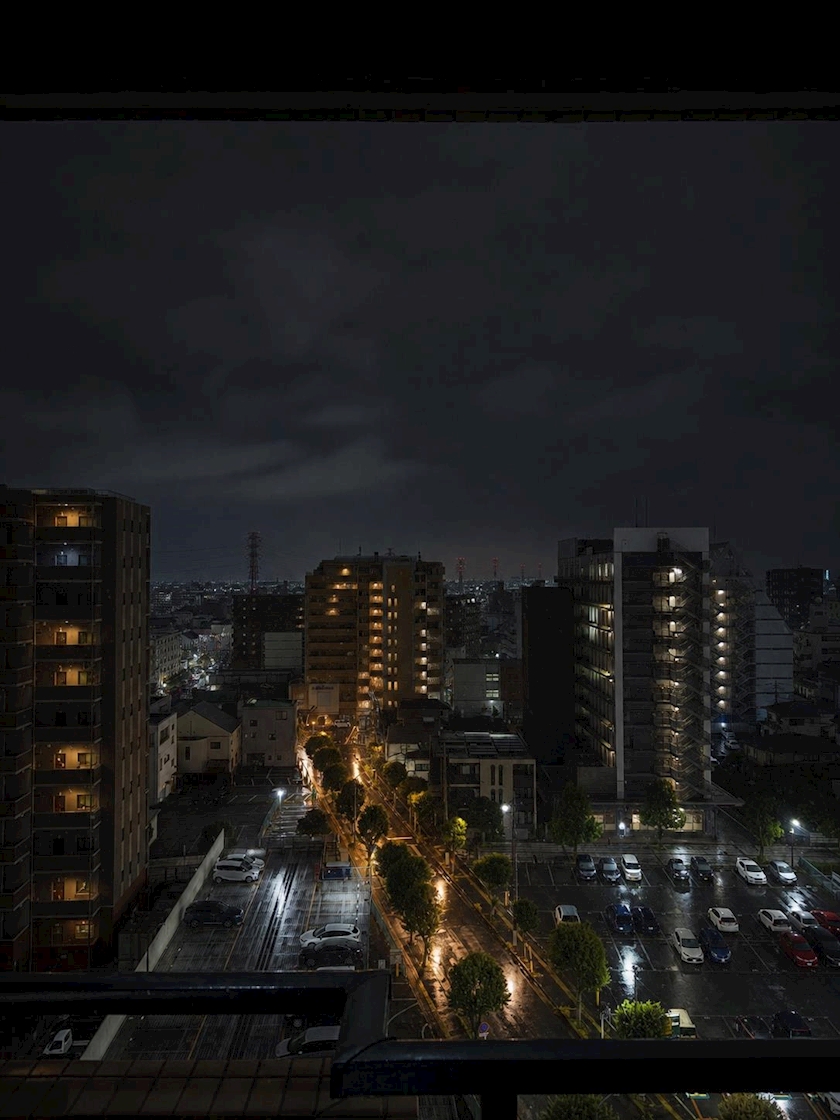 一条 葵