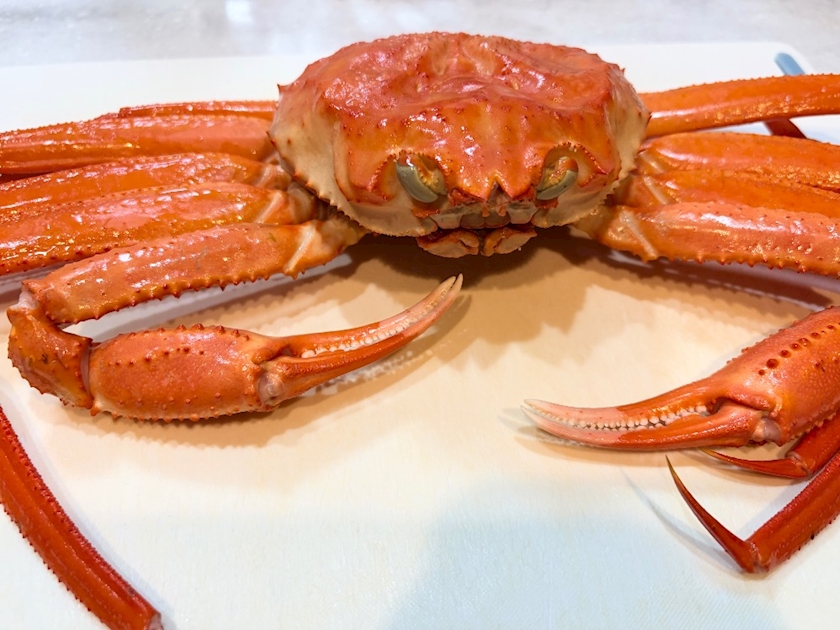 CLUB ONE CHAN -ミナミ宗右衛門町店-日記1601482