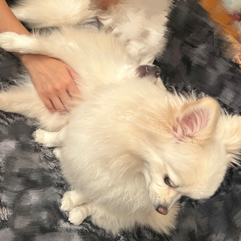 ママ七瀬　あや