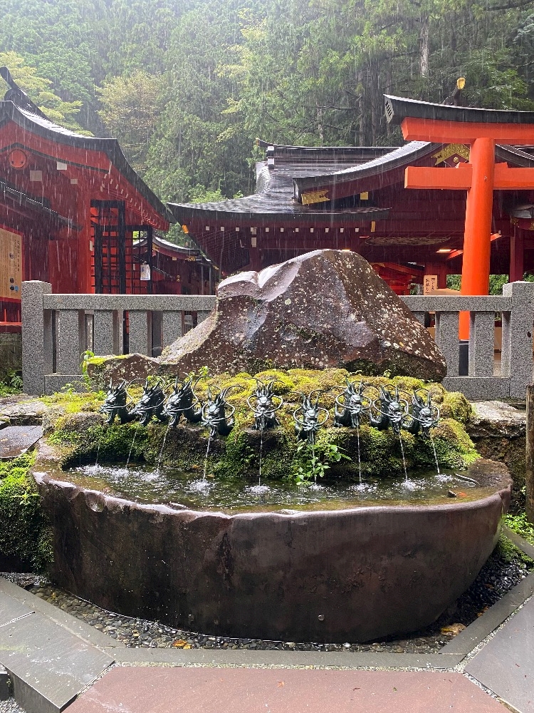 一条 葵