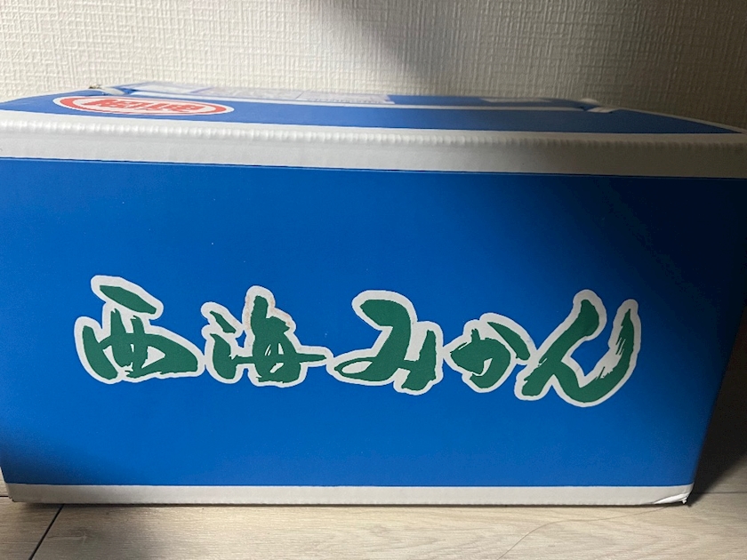 おかえりなさい日記1555190