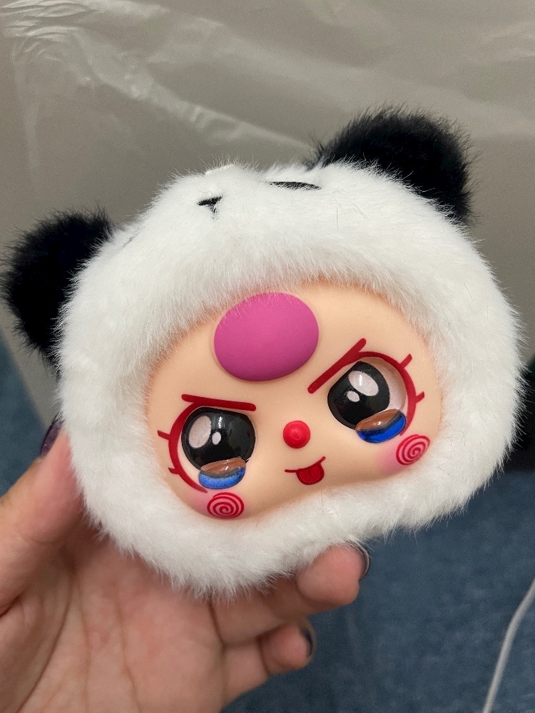 かわい子ちゃんがやってきた🫶💕