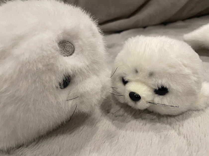 Concafe & Lounge Hi-Potion日記1529133