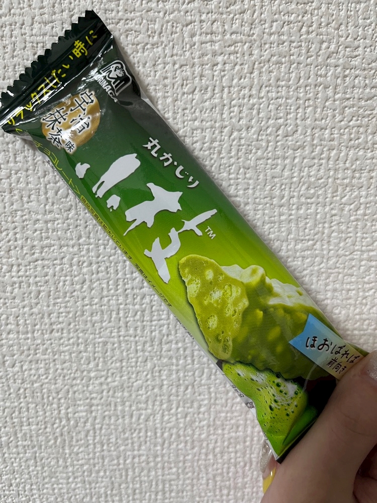 枝 もしくは 大枝 🍫🍵