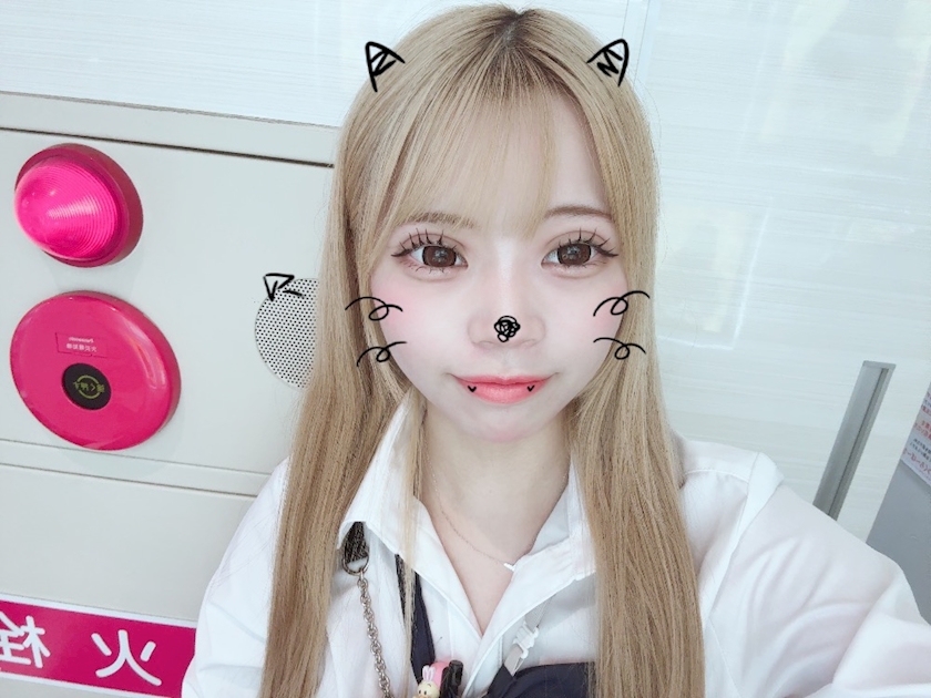 一条 葵