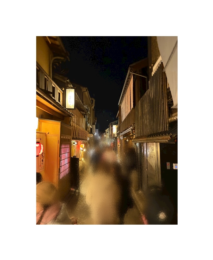 一条 葵
