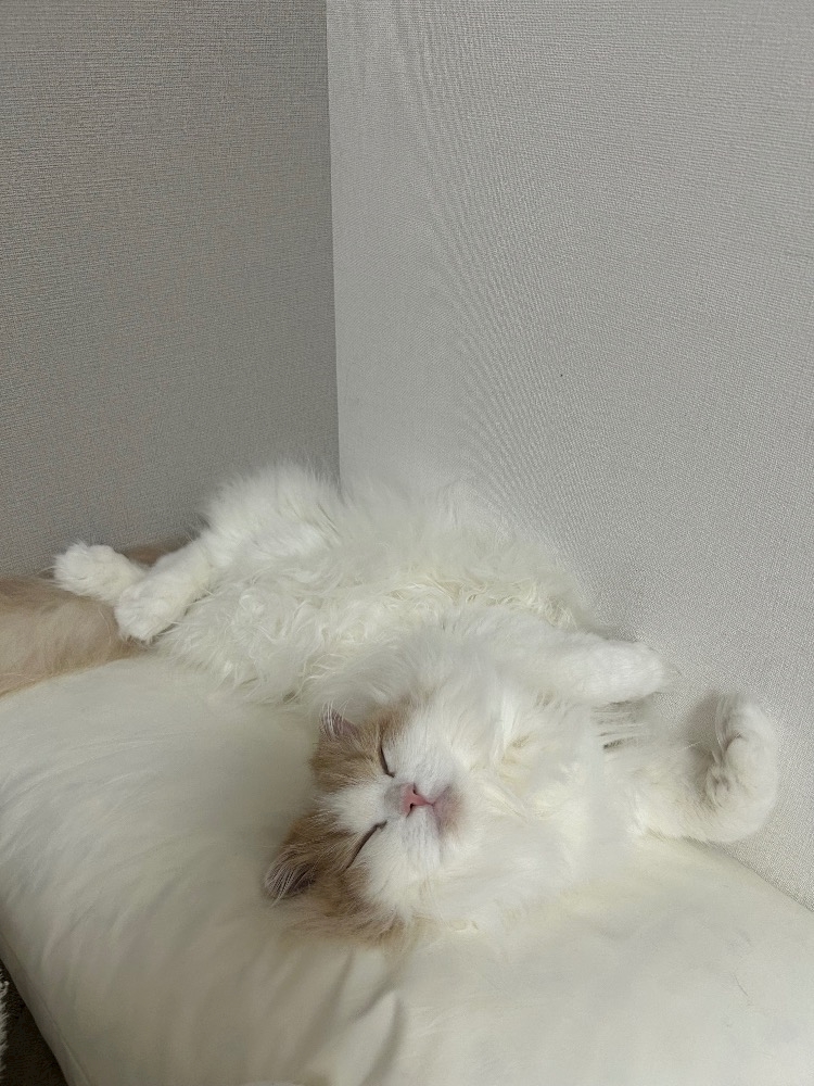 CLUB Epic日記1548497