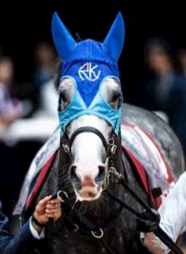 🐎アドマイヤテラより読者の皆様へご挨拶があるみたいです