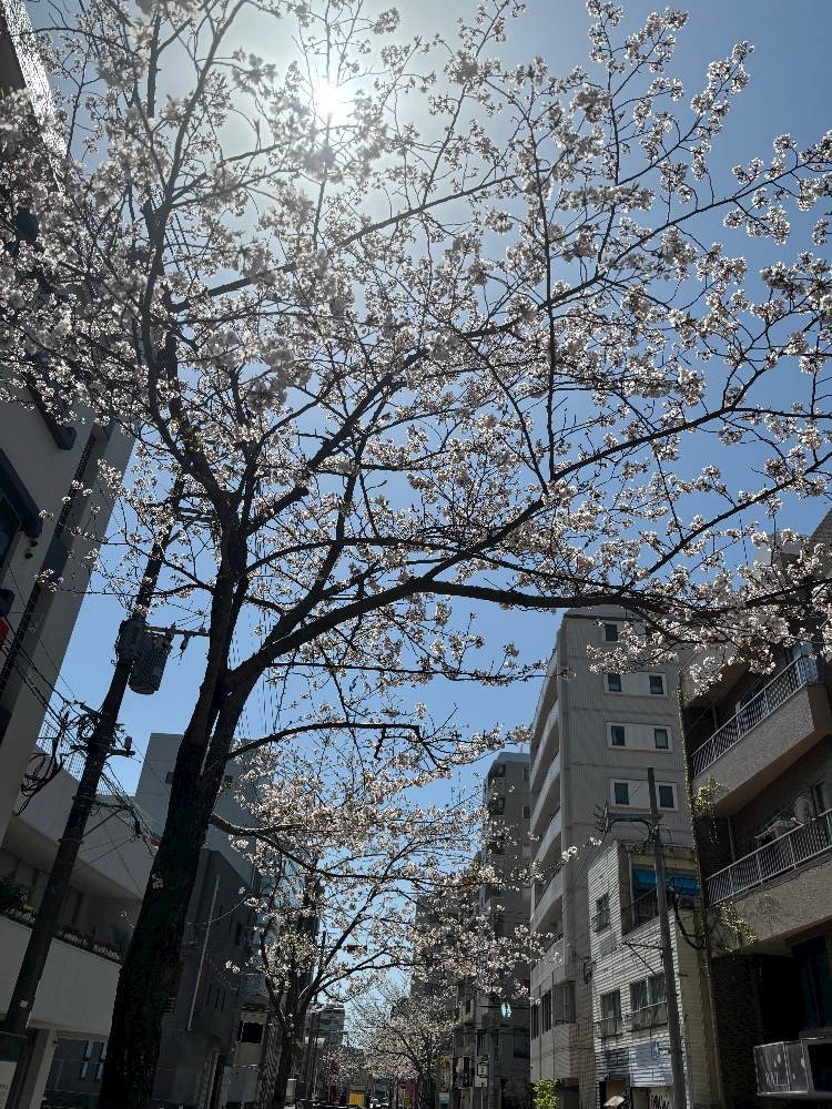 しゅっ🐕³₃≡≡≡