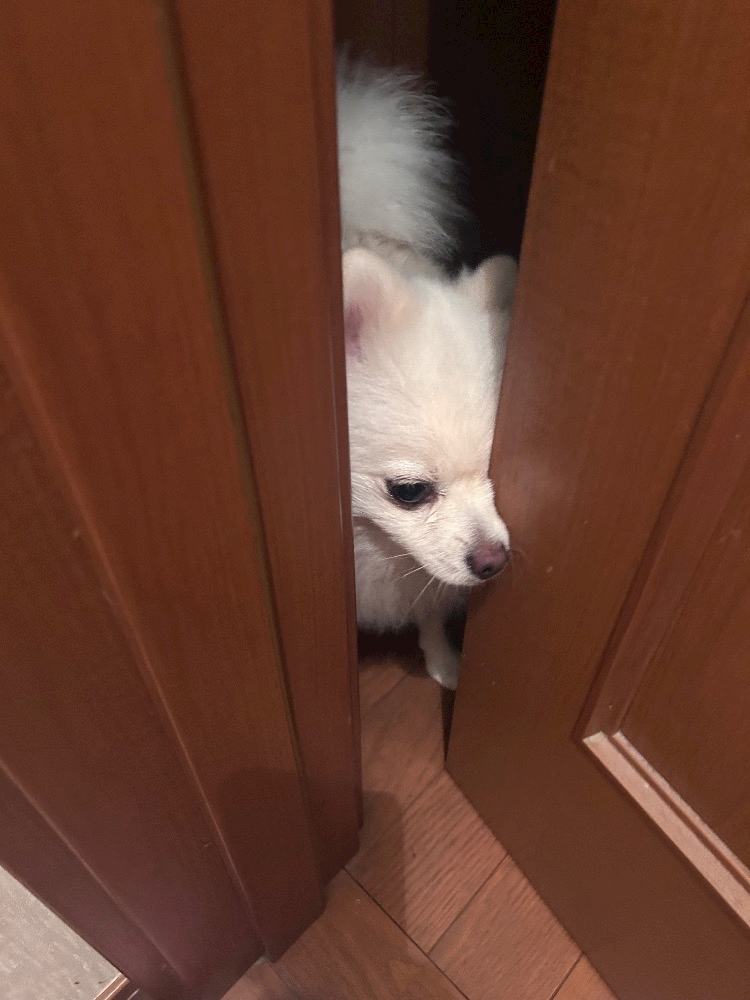 ママ七瀬　あや