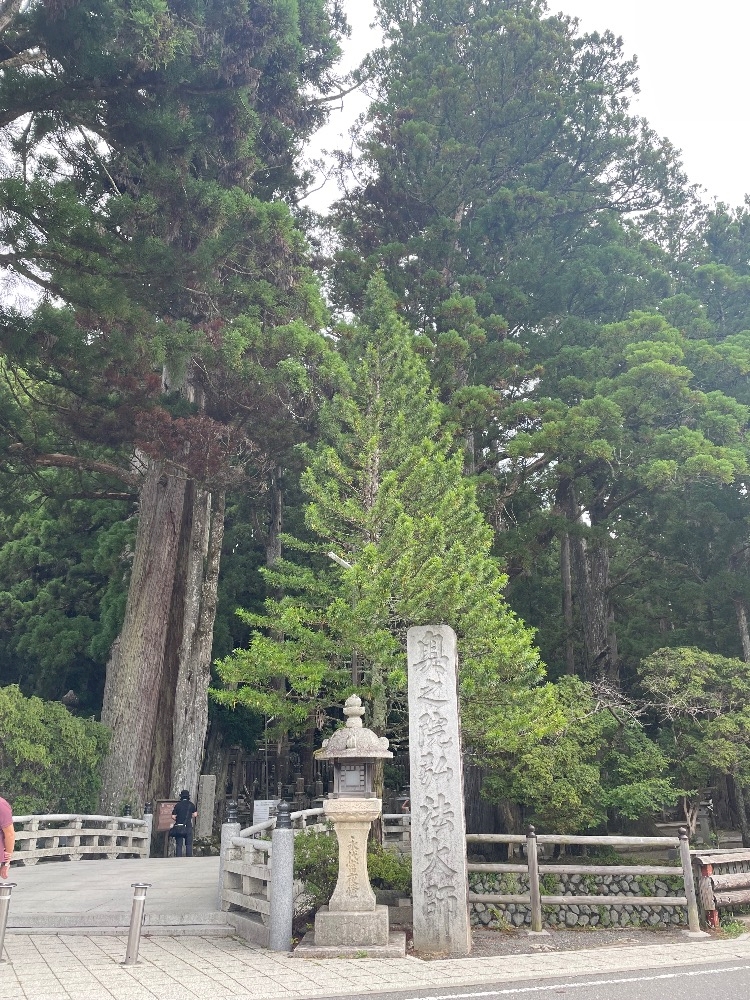 2026/08/20     高野山へお出かけʕ•ᴥ•ʔ