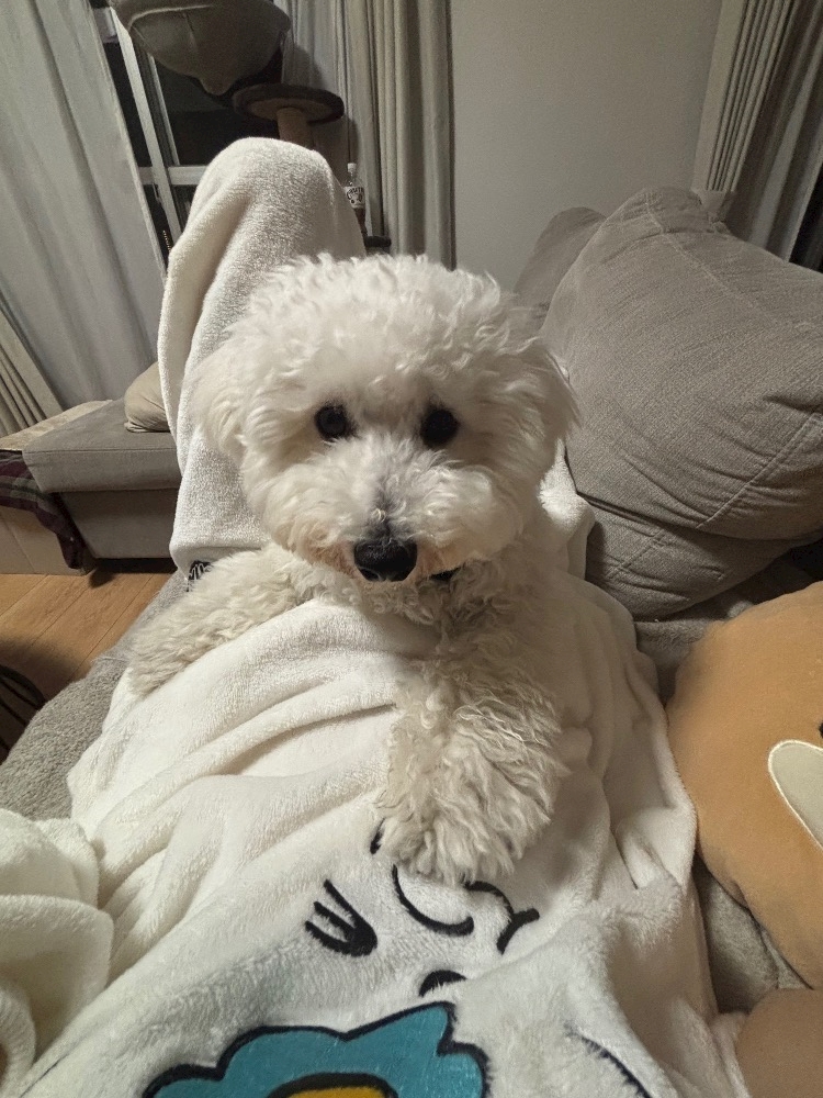 WISTERIA日記1510929