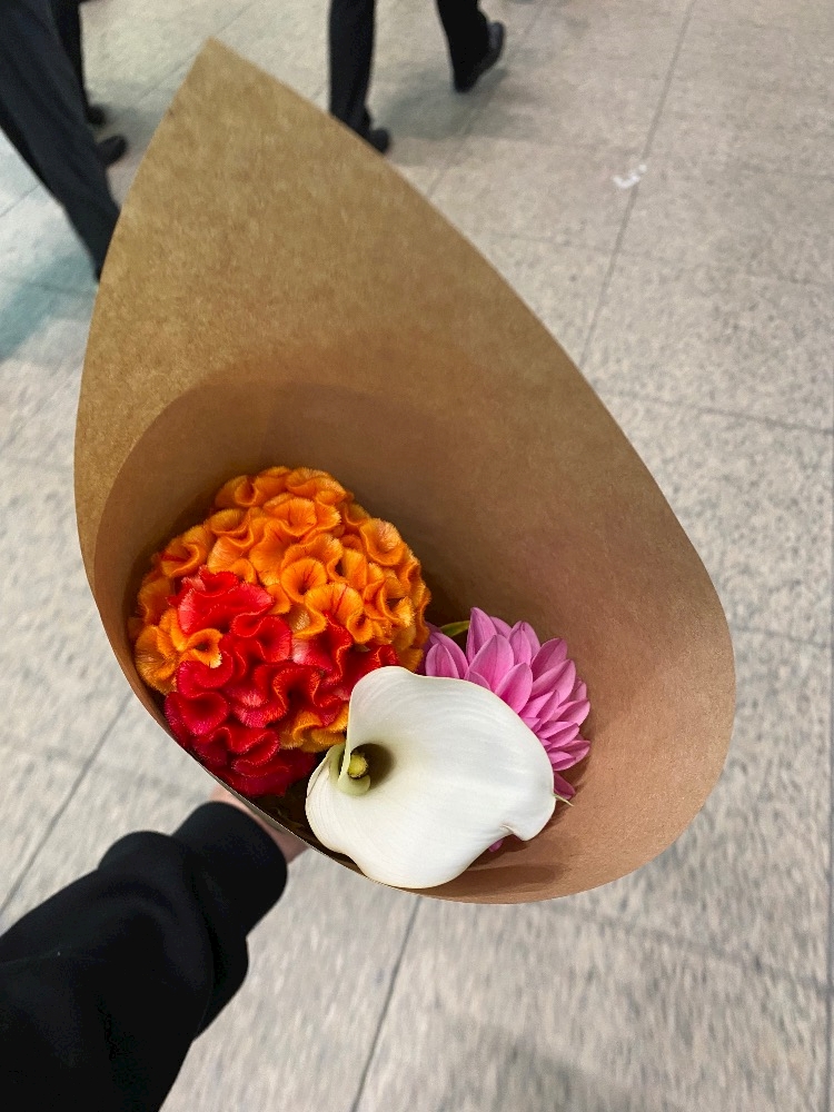 一条 葵