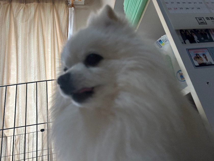 ママ七瀬　あや