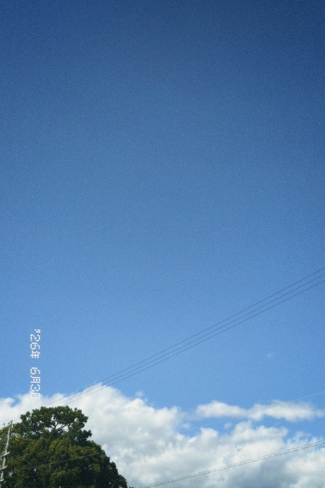 CLUB HANAN日記1680864