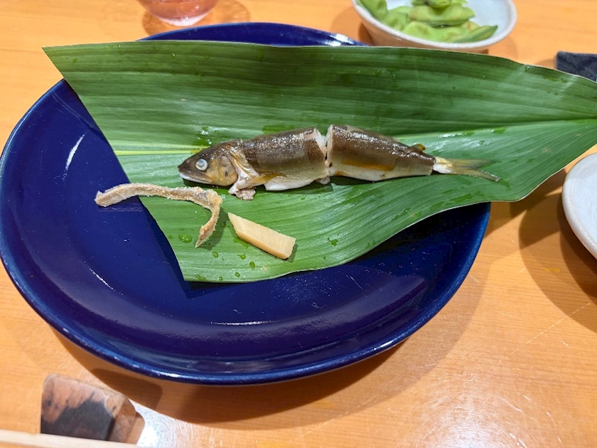 八神 ゆうこ