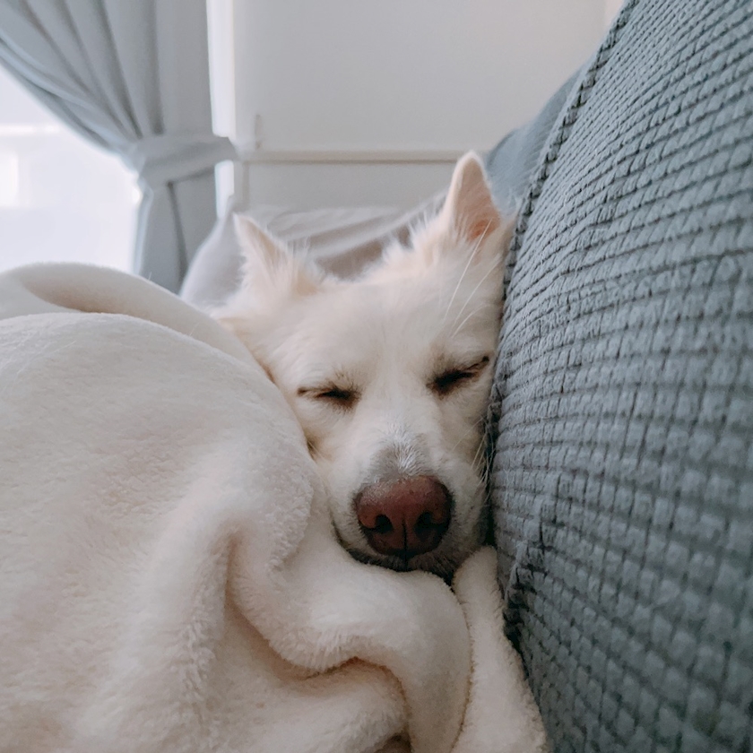 クラブグリム・小牧店日記1515284