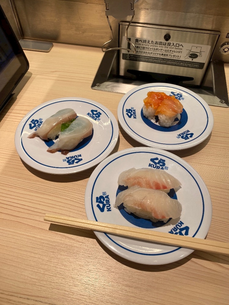 一条 葵