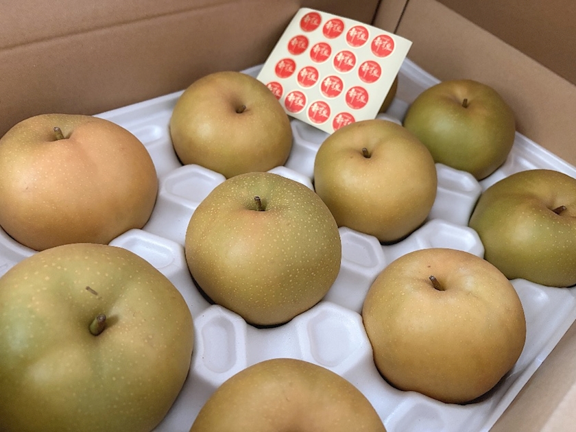 一条 葵