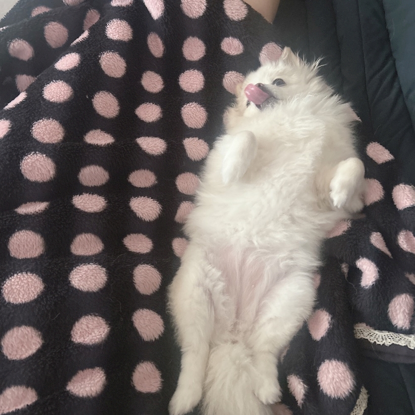 ママ七瀬　あや