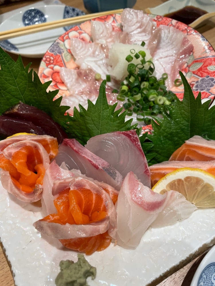一条 葵