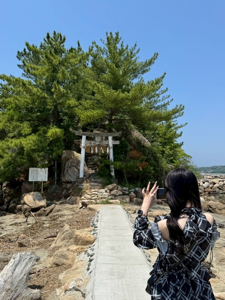 一条 葵