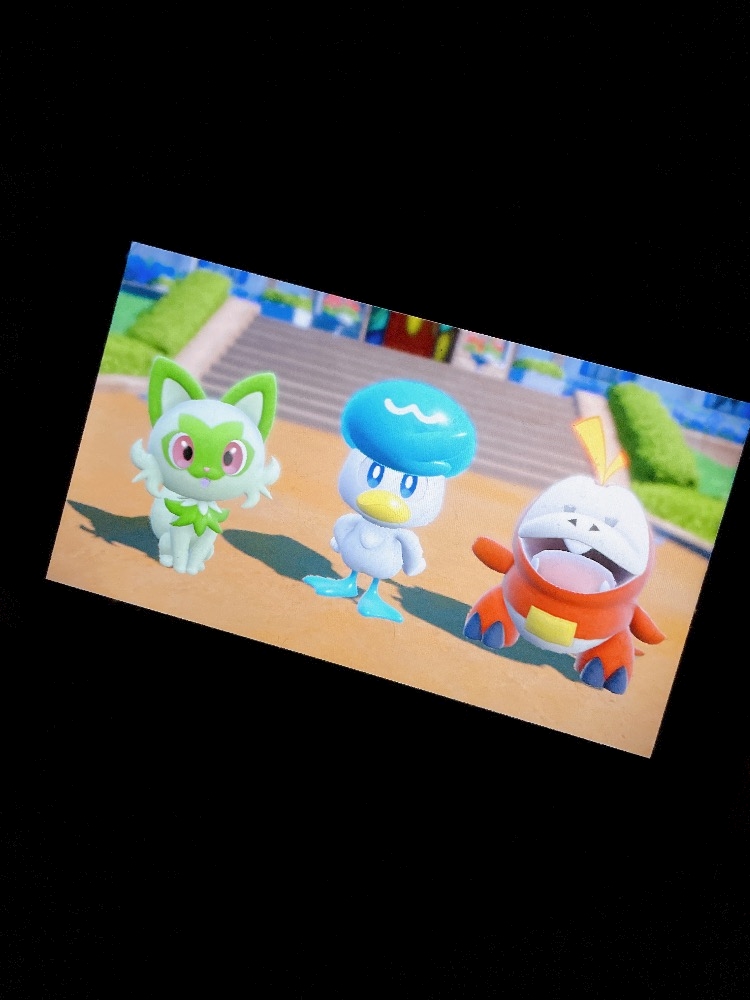 最初の御三家って何選ぶかすごく迷う。