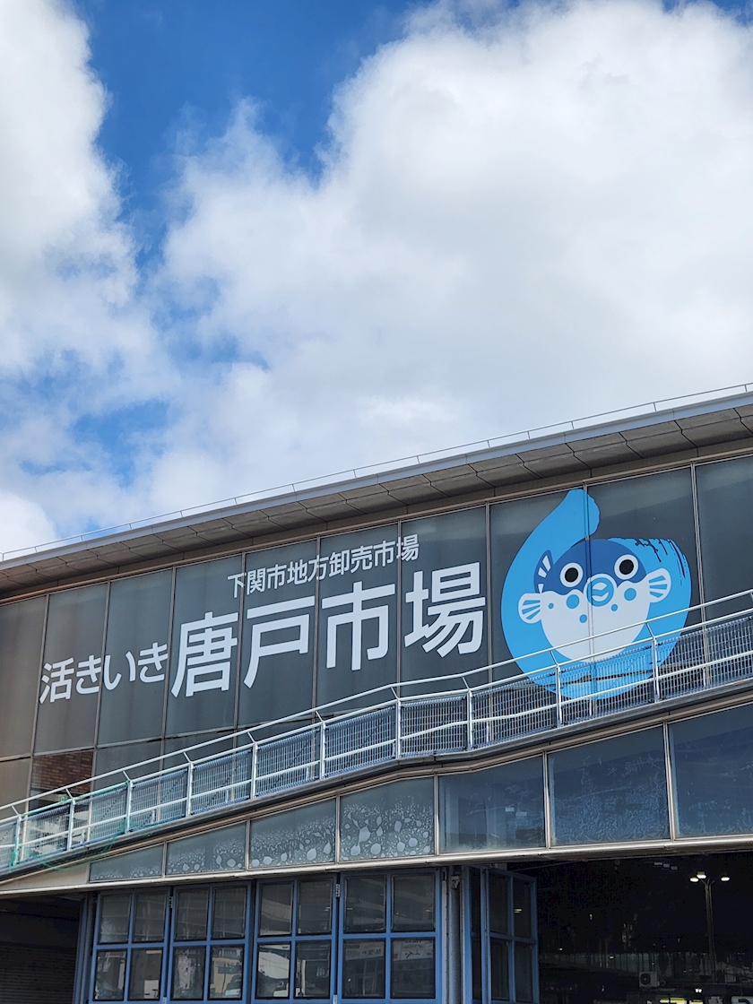 一条 葵