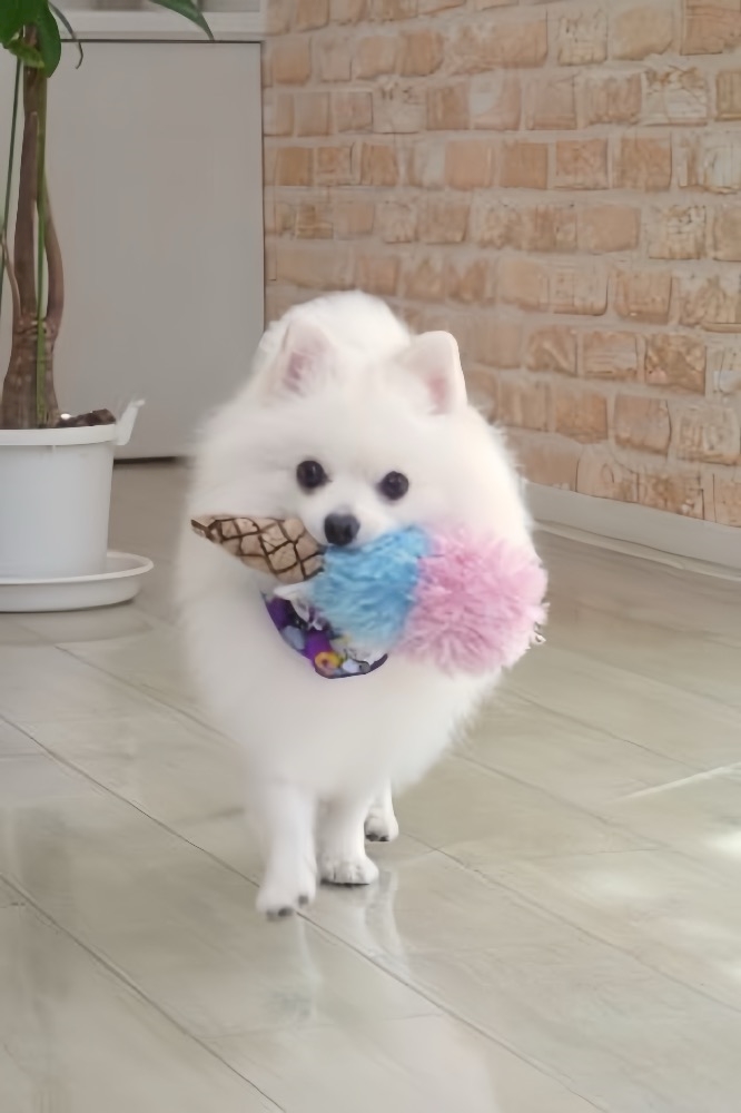 ママ七瀬　あや