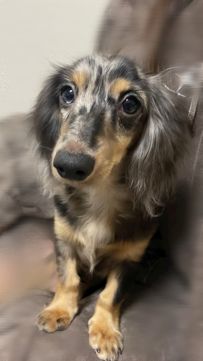 CONTINENTAL CLUB日記1548618