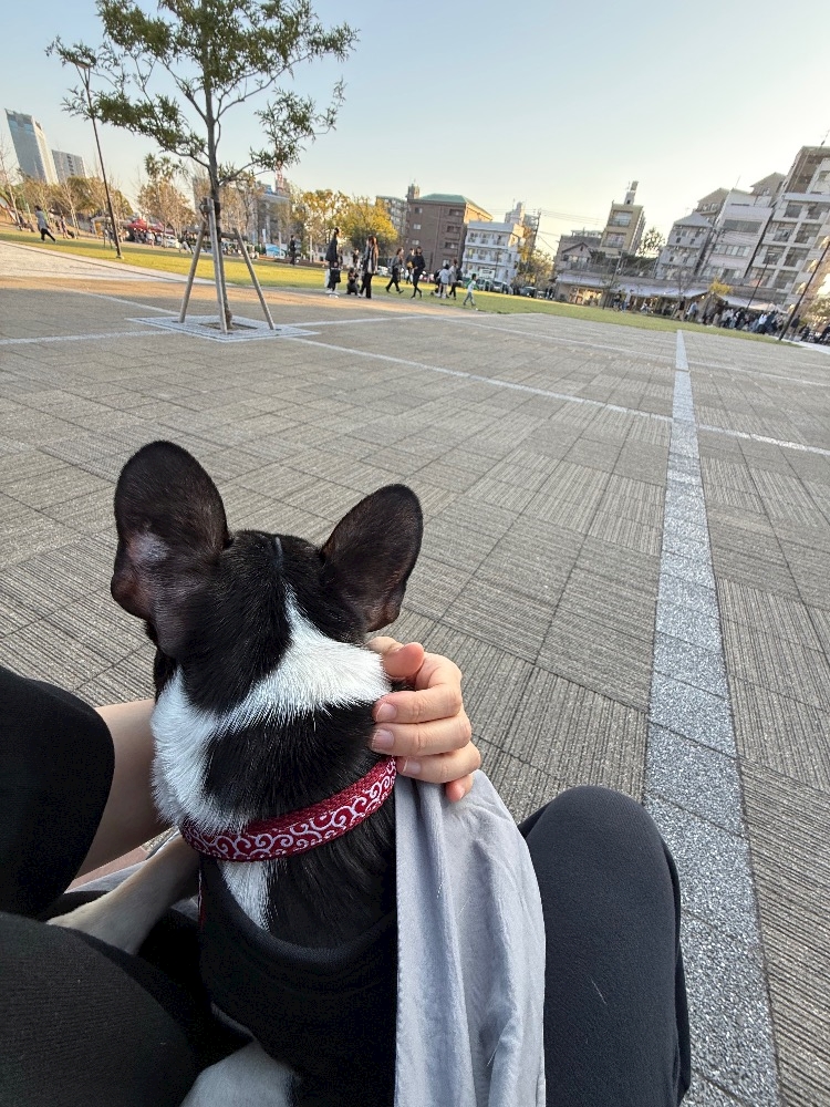 NIGHT CLUB HALO 天文館日記1619751