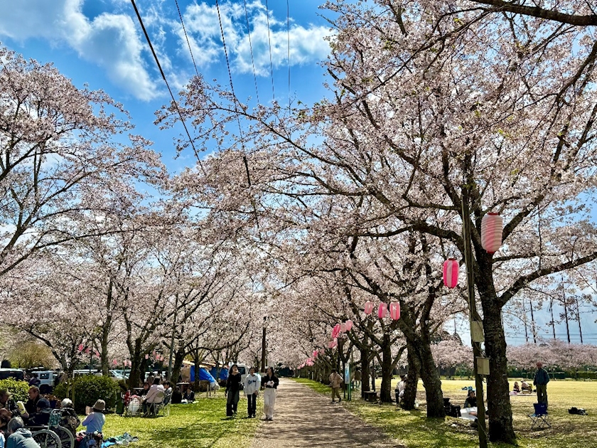 NIGHT CLUB HALO 天文館日記1629232
