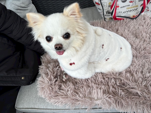 CLUB HANAN 守山店日記1596428