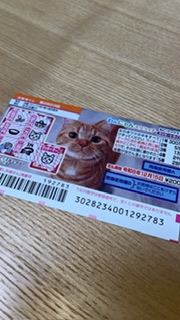 Bar Lounge 莉音　彦根駅前店日記1556660