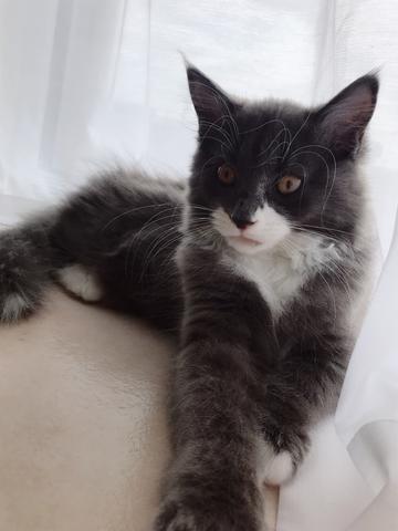 明日で投票さいごのひ