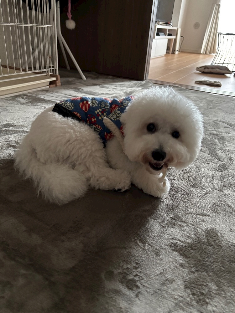 WISTERIA日記1532111